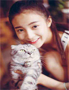 《深田恭子 av》